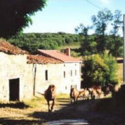 Los Caballos
