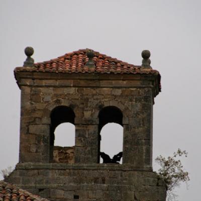 Campanario 